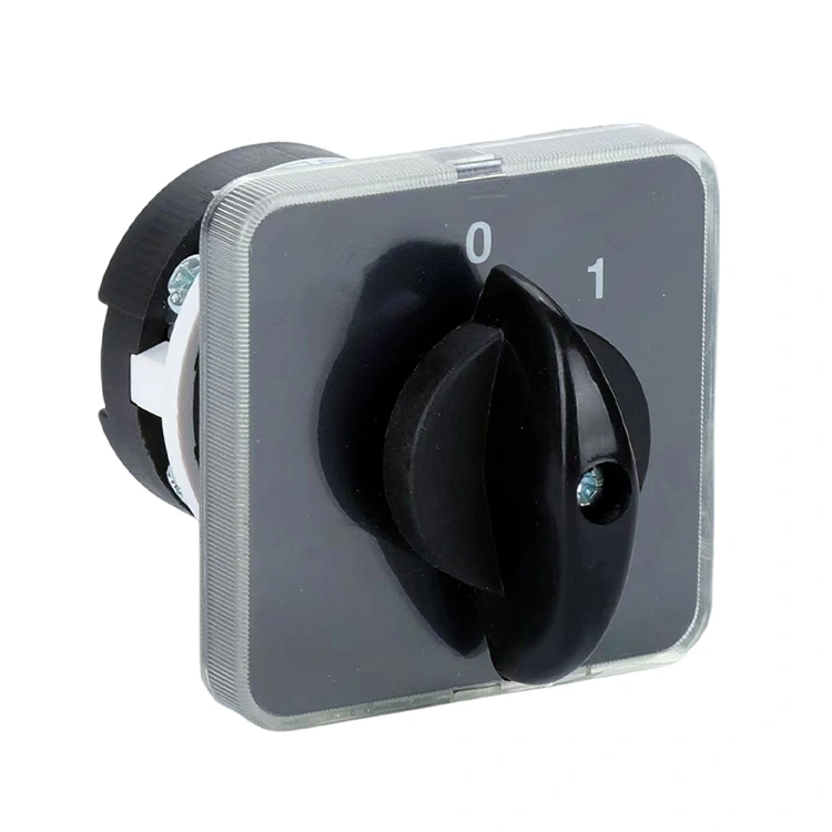 LW31 20A OFF-ON Kombinationsdrejeknapkontakt med to positioner